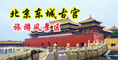 欧美x8的大吊中国北京-东城古宫旅游风景区